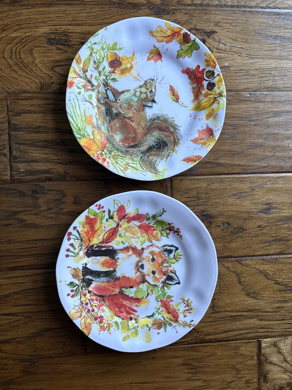 Charm & Cheer Woodland Fall Melamine Plates Set of 2
